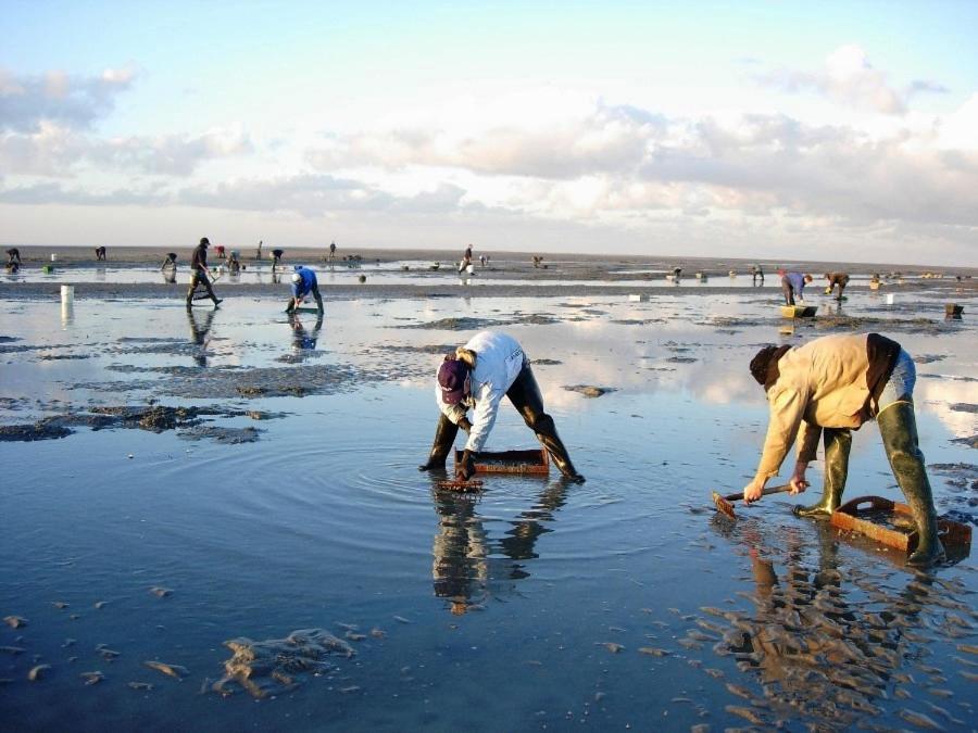 Вилла Le Gite De Martine En Baie De Somme Lancheres Экстерьер фото